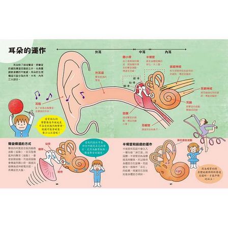 出發吧！人體探險隊：揭開身體消化道、泌尿系統、骨骼肌肉、心臟血管……不可思議的祕密